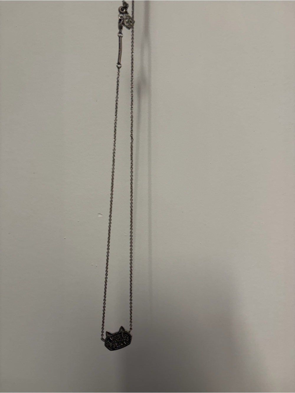 Silver Kendra Scott cat necklace (comes with bag)